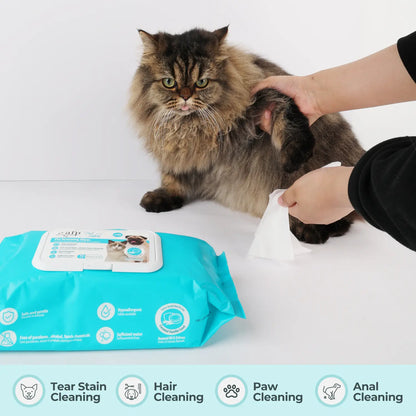 Allforpaws Coconut Vanilla Scented Pet Grooming Wipes - 100 Alcohol-Free Jumbo Deodorizing Wipes with Jojoba and Coconut Oils for Safe Hydration and Odor Control