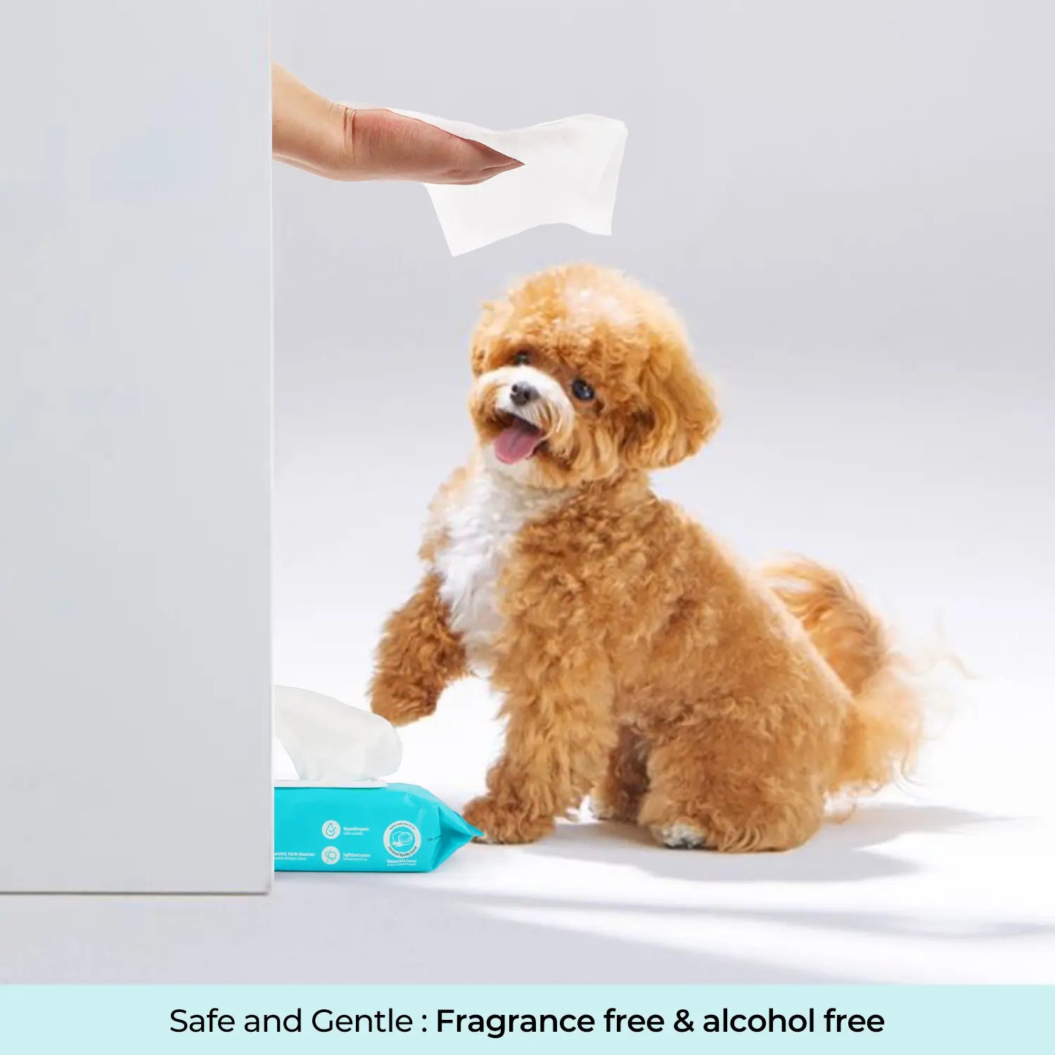 Allforpaws Coconut Vanilla Scented Pet Grooming Wipes - 100 Alcohol-Free Jumbo Deodorizing Wipes with Jojoba and Coconut Oils for Safe Hydration and Odor Control
